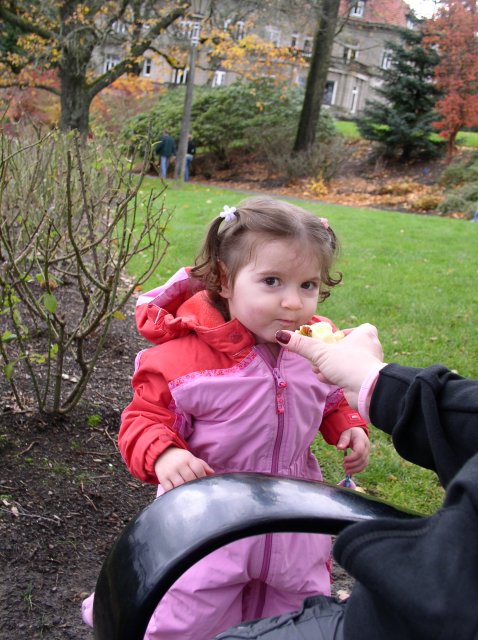 11.13.05 Arboretum-Pittock Mansion-Macleay Park 023 